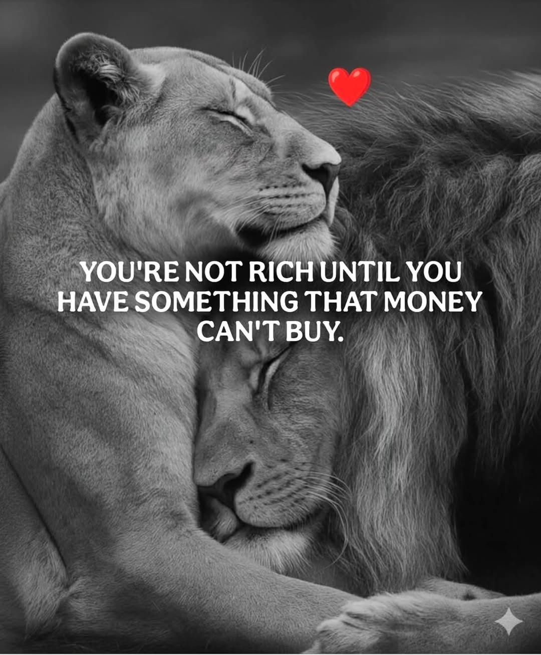 LUXURY MONEY CAN‘T BUY